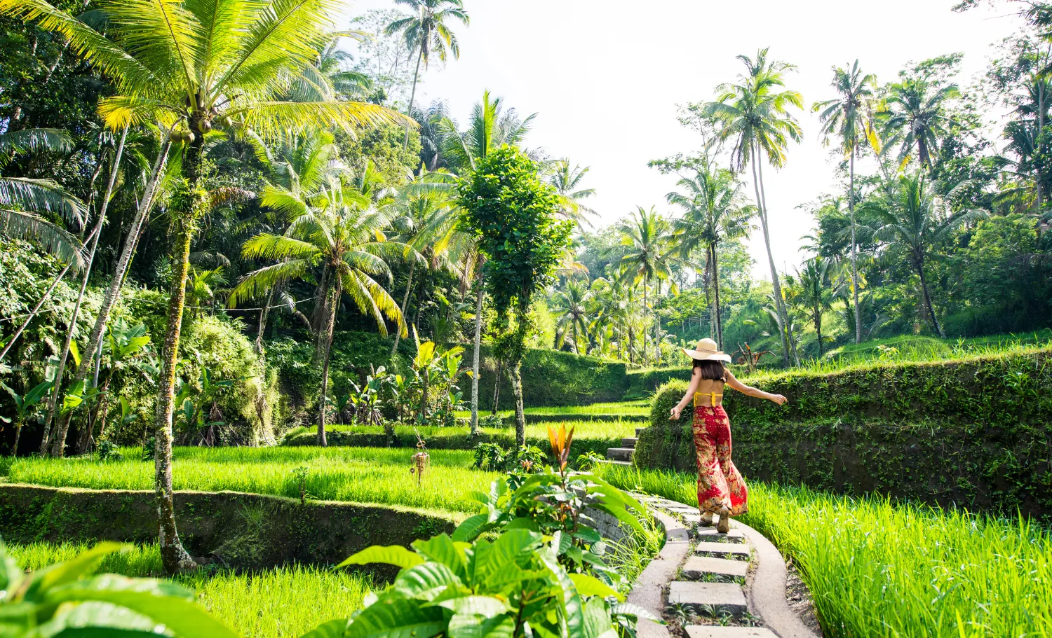 Arrozales de Bali en un viaje a Indonesia a medida