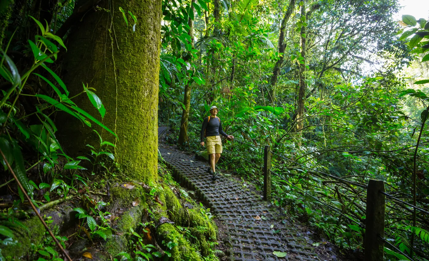 Senderismo con guía por un bosque nuboso de Costa Rica
