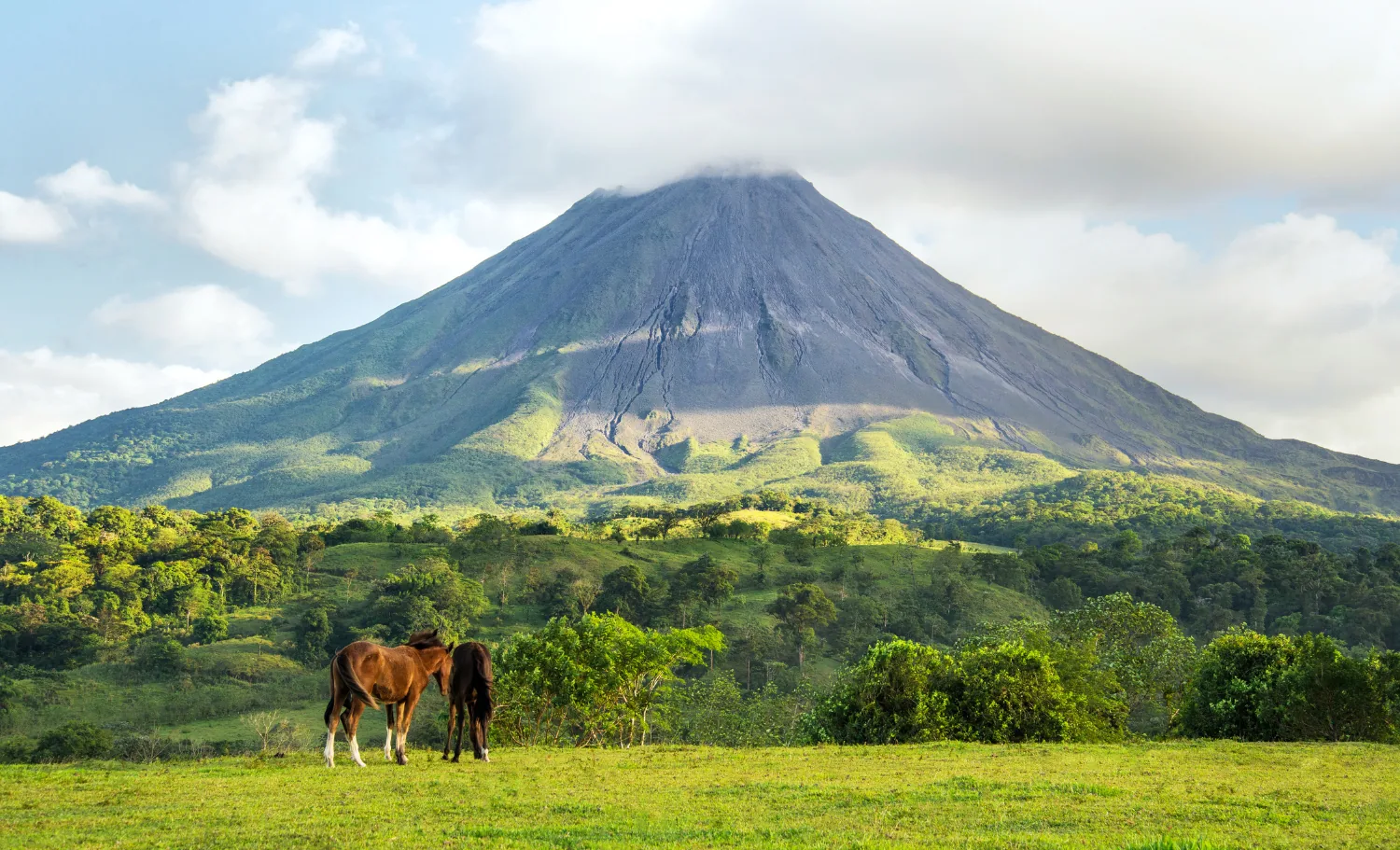 Naturaleza exuberante en un viaje a Costa Rica a medida