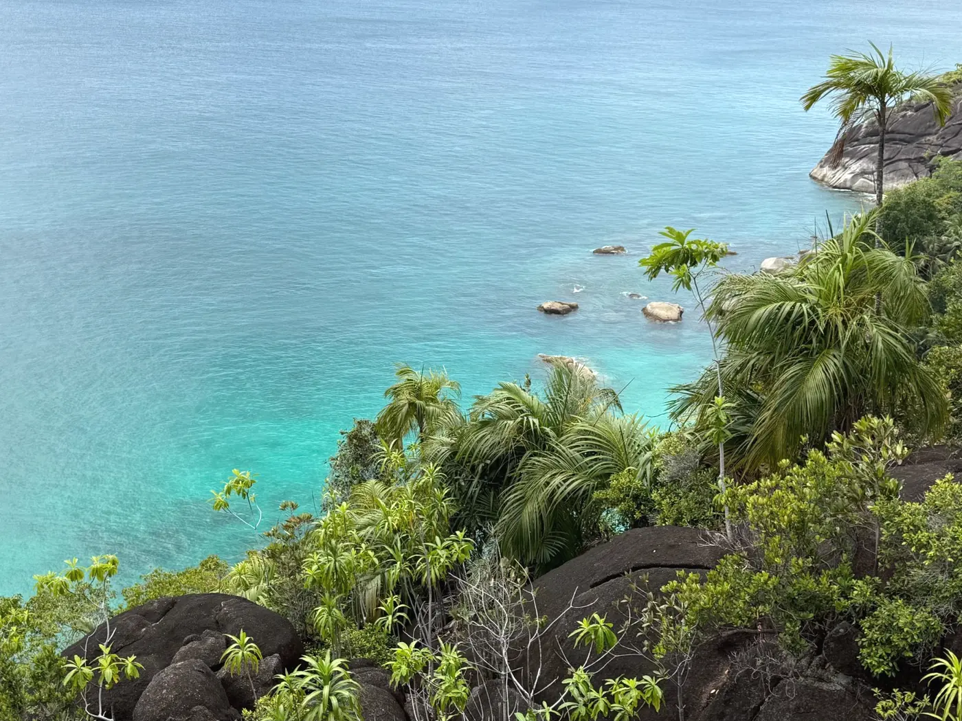 Costa tropical de Seychelles contemplada desde un mirador entre granito y vegetación
