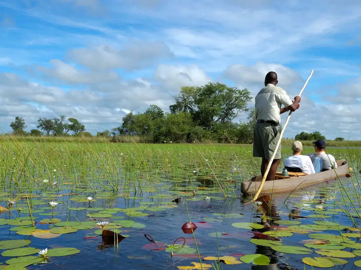 Safari en mokoro por los canales del delta del Okavango