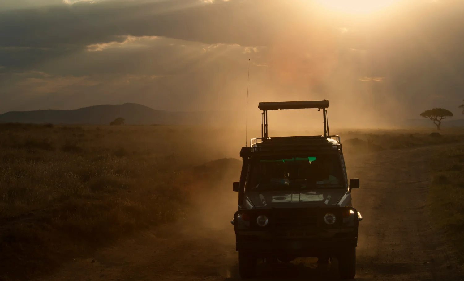 Safari privado en Tanzania en un viaje a medida con final en Zanzíbar